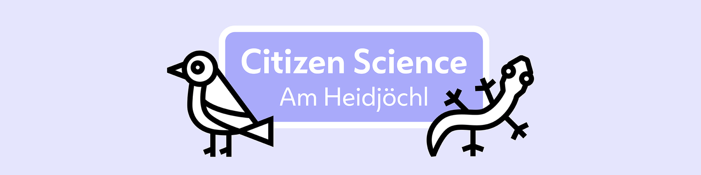 Das Bild zeigt das Logo des Projekts Citizen Science Am Heidjöchl. Das Logo wird umrahmt von einem Vogel, der Haubenlerche, und einer Zauneidechse.